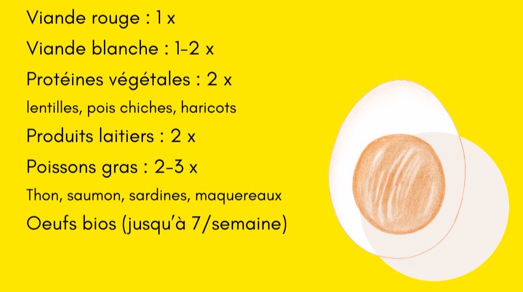 Exemple de sources de protéines sur une semaine : viande rouge 1 fois, viande blanche 1 à 2 fois, protéines végétales 2 fois, produits laitiers 2 fois, poissons gras 2 à 3 fois, œufs bio jusqu’à 7 par semaine